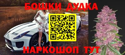 a pvp Кингисепп