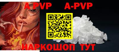 a pvp Кингисепп