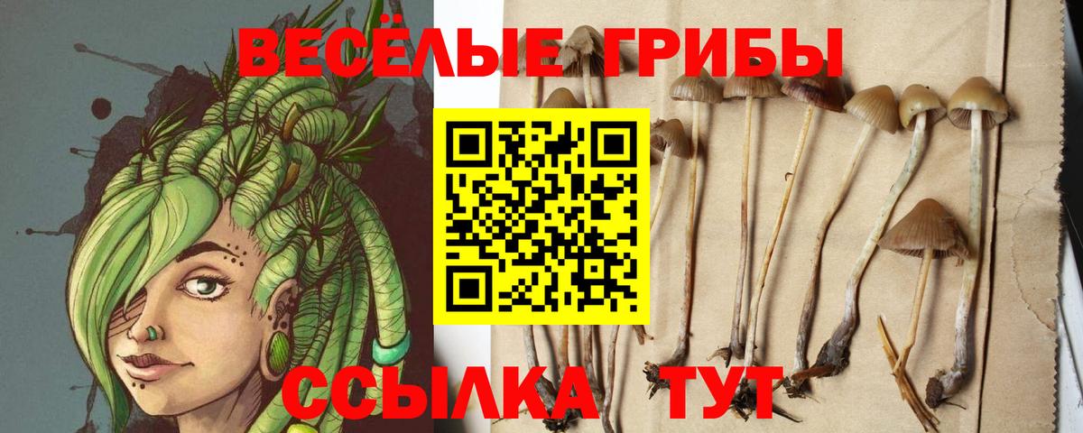Кинель  Галлюциногенные грибы GOLDEN TEACHER  Вход с VPN 